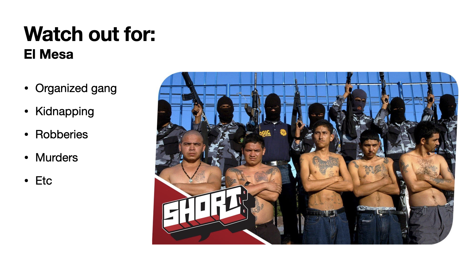 Slide 8